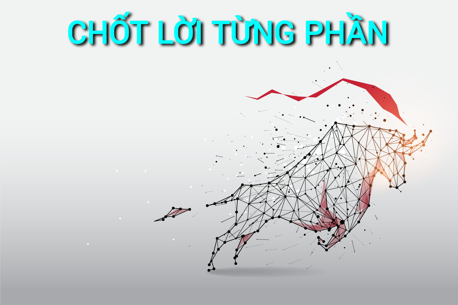HƯỚNG DẪN CHỐT LỜI TỪNG PHẦN TRONG ĐẦU TƯ TĂNG TRƯỞNG HƯỚNG DẪN CHỐT LỜI TỪNG PHẦN TRONG ĐẦU TƯ TĂNG TRƯỞNG